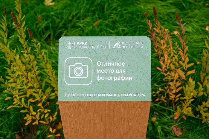 Лесопарк «Волхонка» осенью в Ногинске Богородского округа