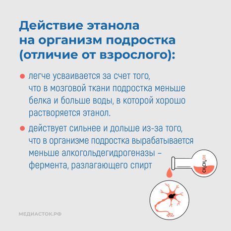Алкоголь и развитие мозга квадрат 07