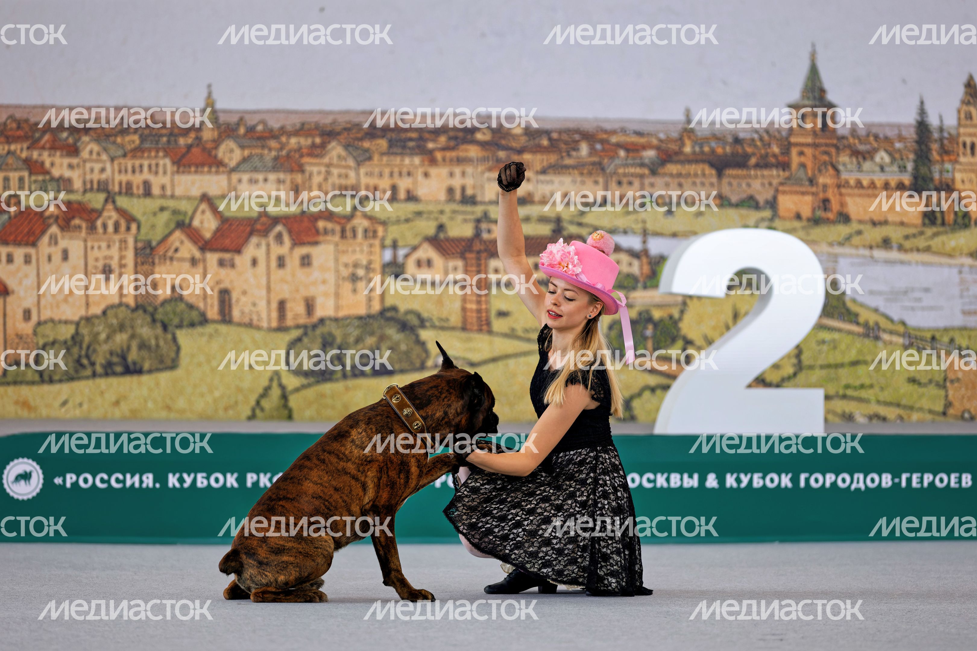 Собаки 261 породы на Национальной выставке собак всех пород в КВЦ «Патриот Экспо» Одинцовского округа