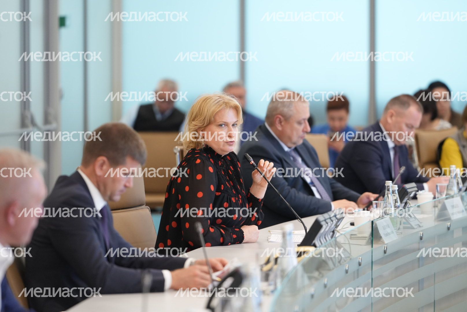 Выездное совещание Комитета Государственной Думы по региональной политике и местному самоуправлению