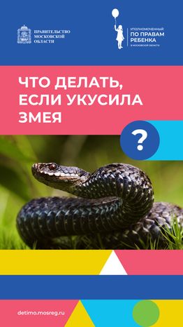вертикаль что-делать-если-укусила-змея.png