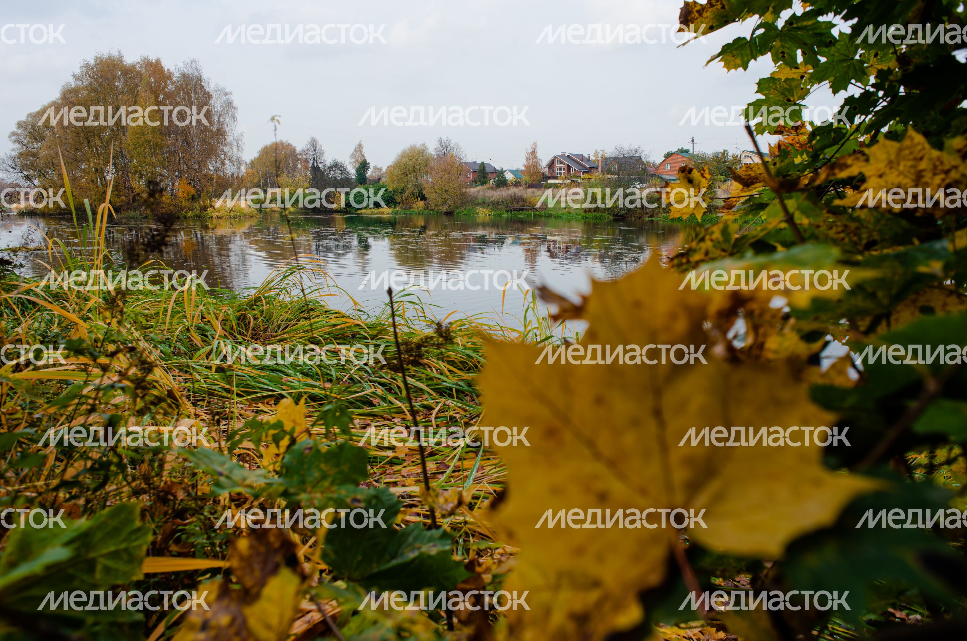 Осенние виды Городского парка в Щёлково