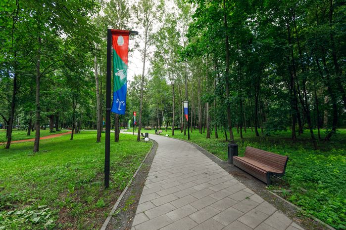 Лавочка в Лосино-Петровском парке