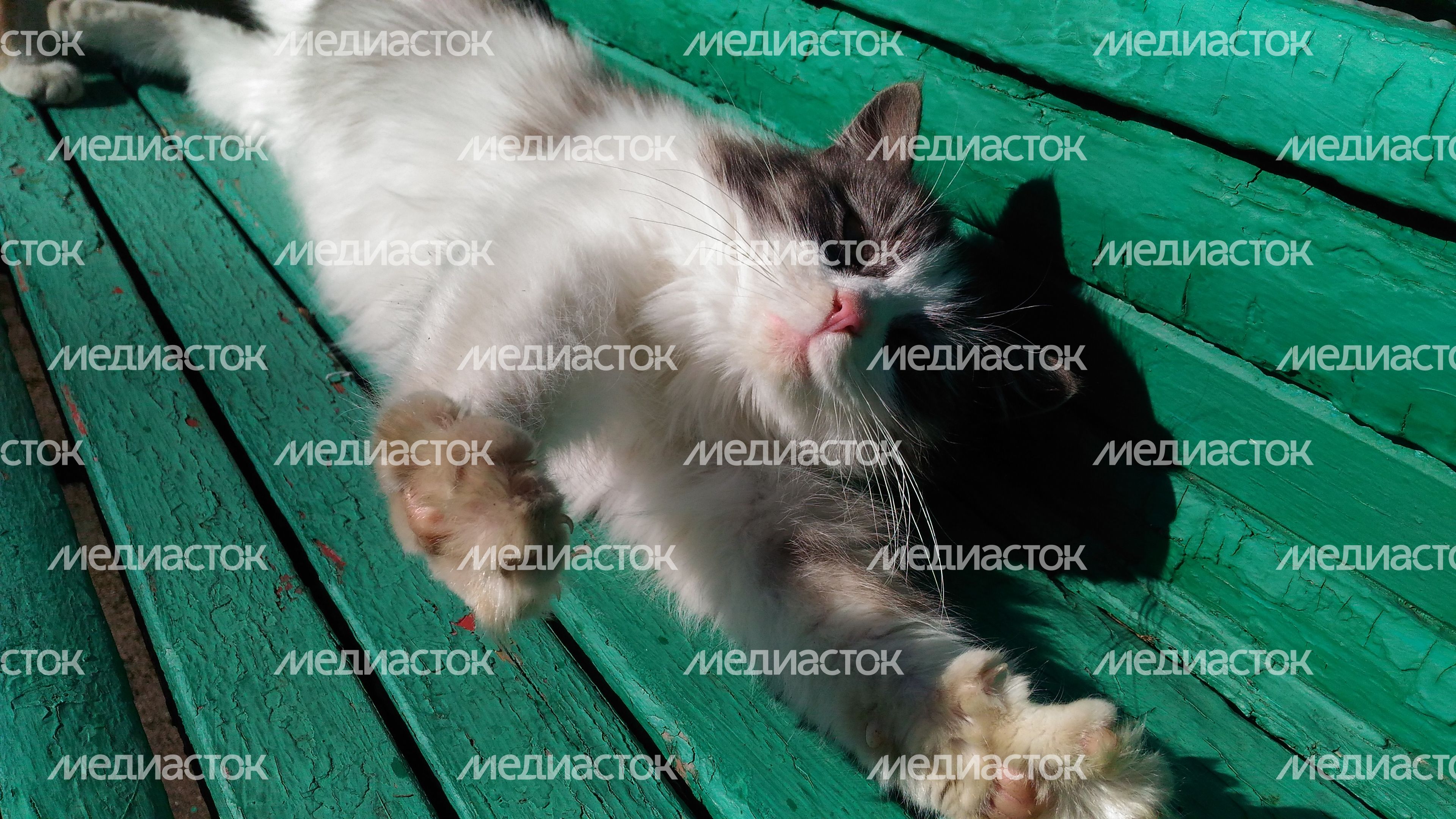 Теплая погода в Звенигороде