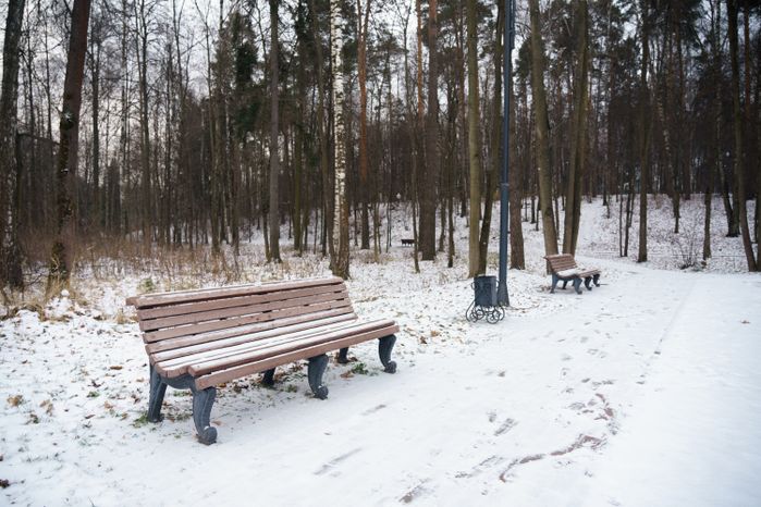 Люберцы. Томилинский лесопарк. Зима