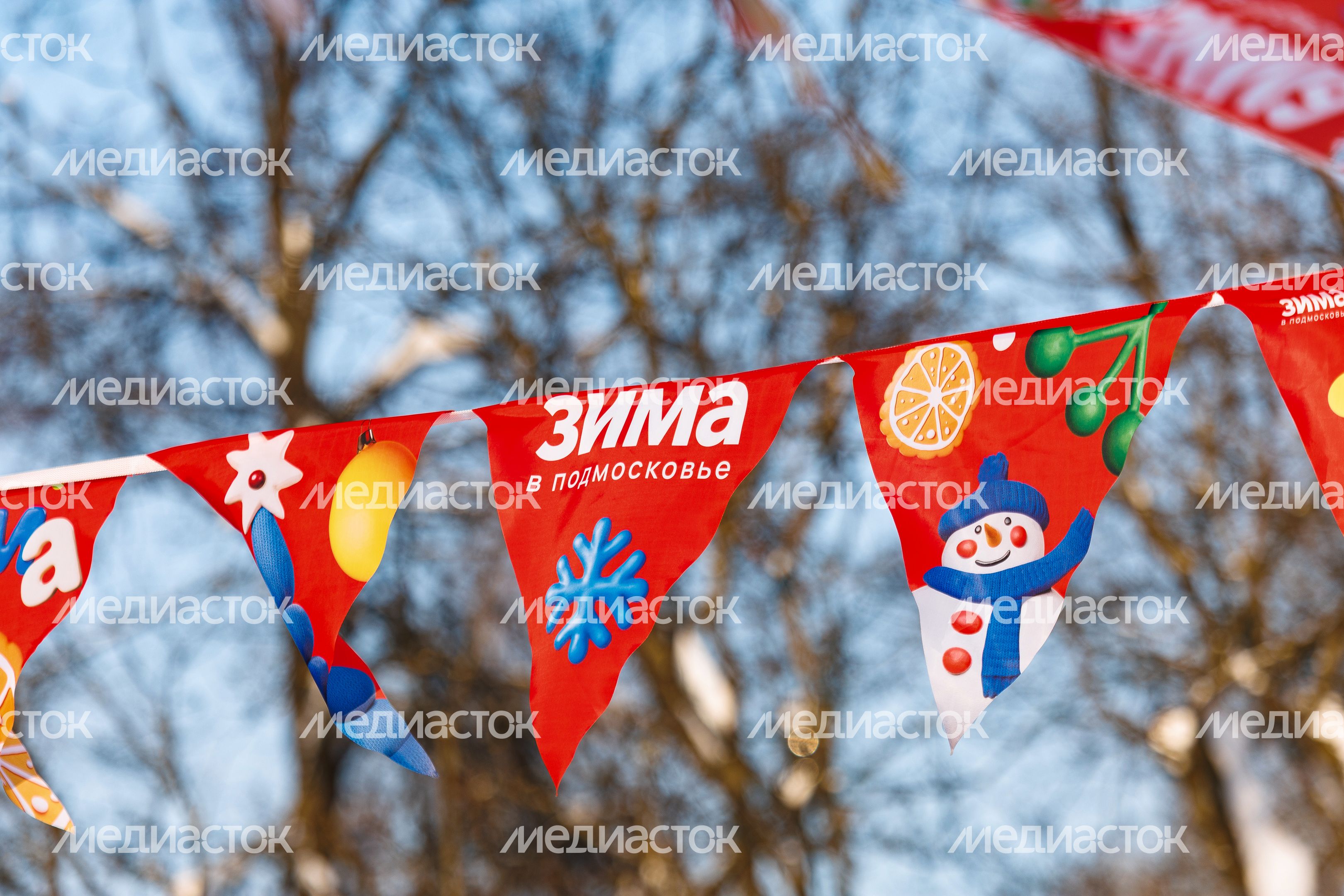 Зима в Центральном парке культуры и отдыха «Парк Мира» в Мытищах Зима в Центральном парке культуры и отдыха «Парк Мира» в Мытищах