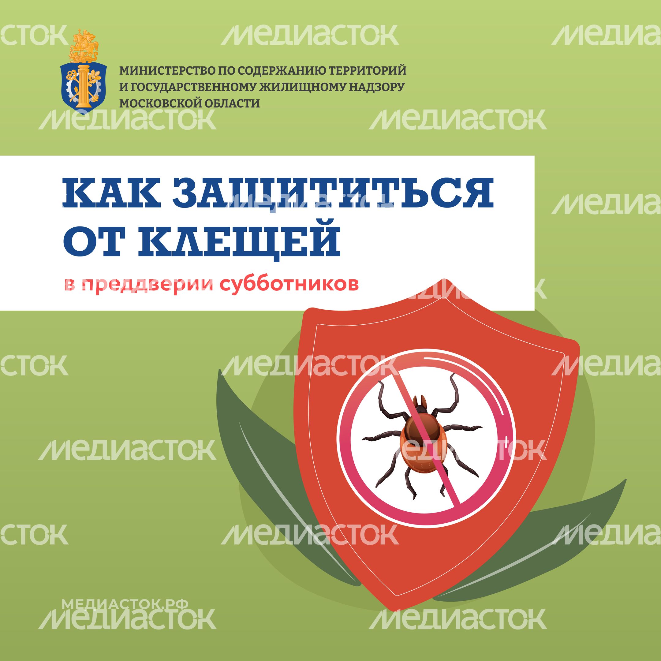 Как защититься от клещей квадрат 01 Как защититься от клещей квадрат 01