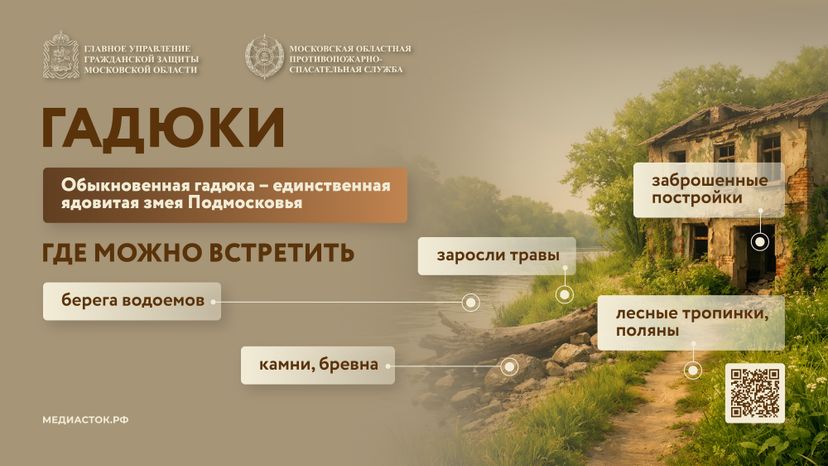 Гадюки горизонталь 01