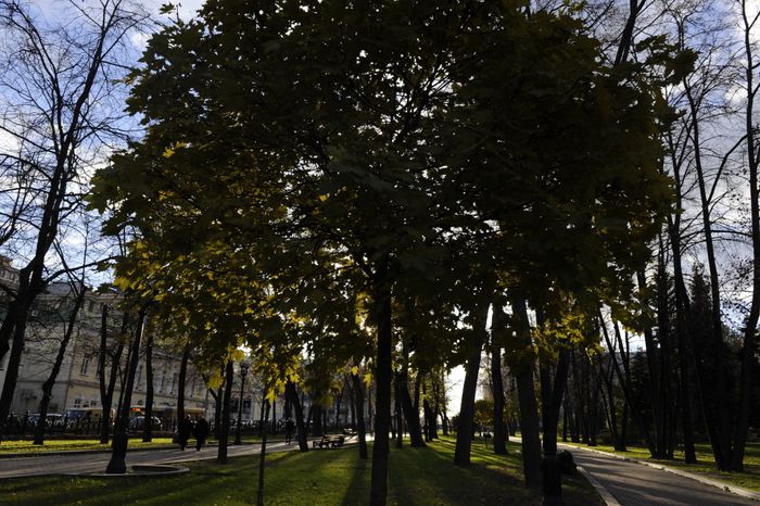 Страстной бульвар в Москве