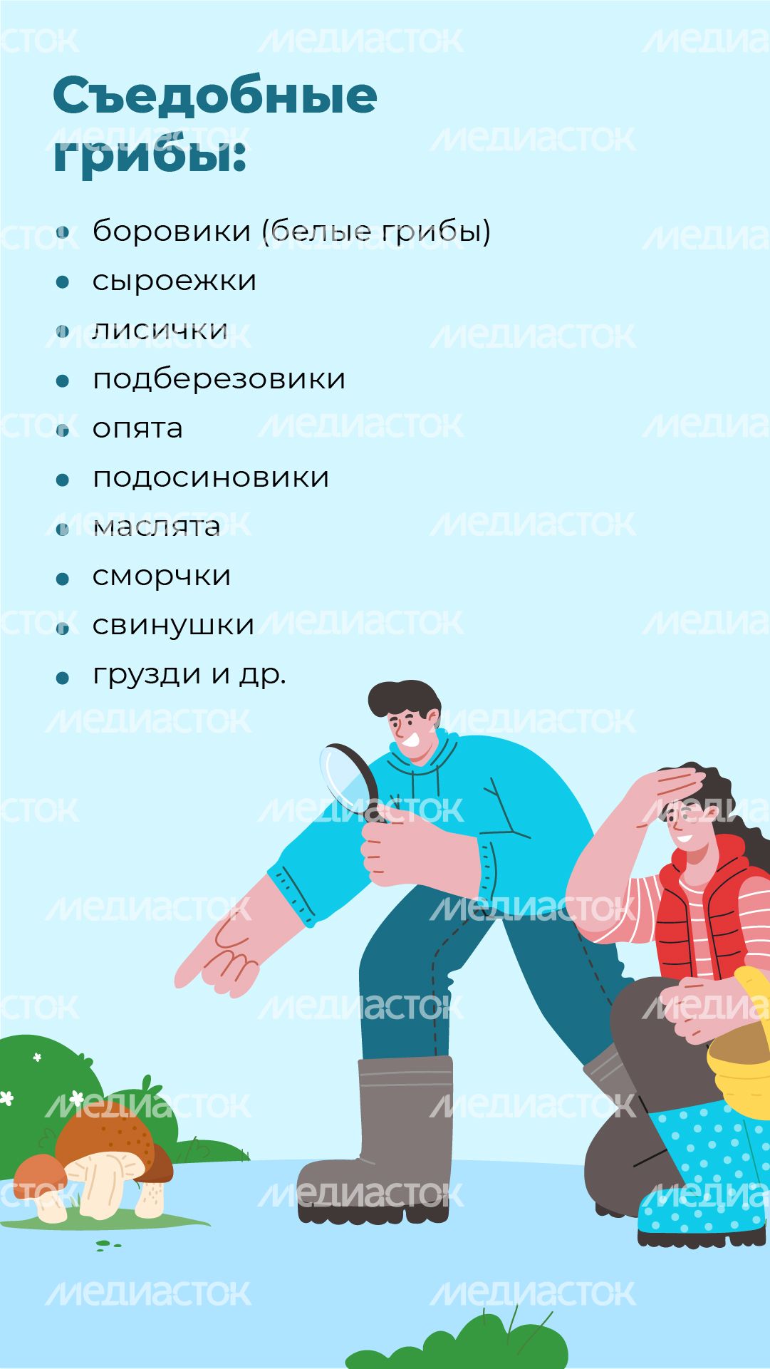 28 Вертикаль_грибы_03-100
