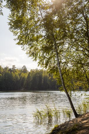 Озеро Северное в Черноголовке
