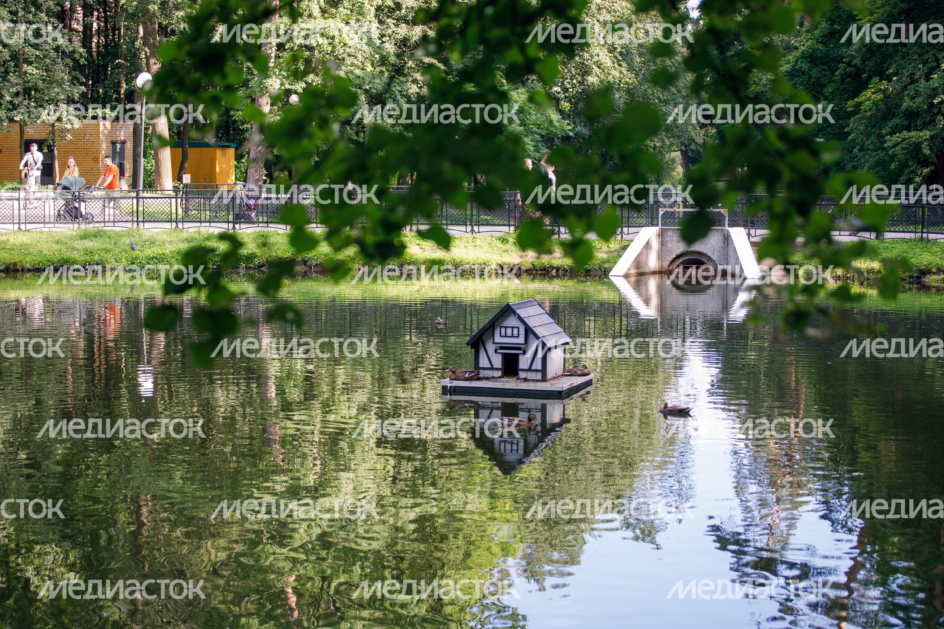 Красногорск. Красногорский городской парк Красногорск. Красногорский городской парк