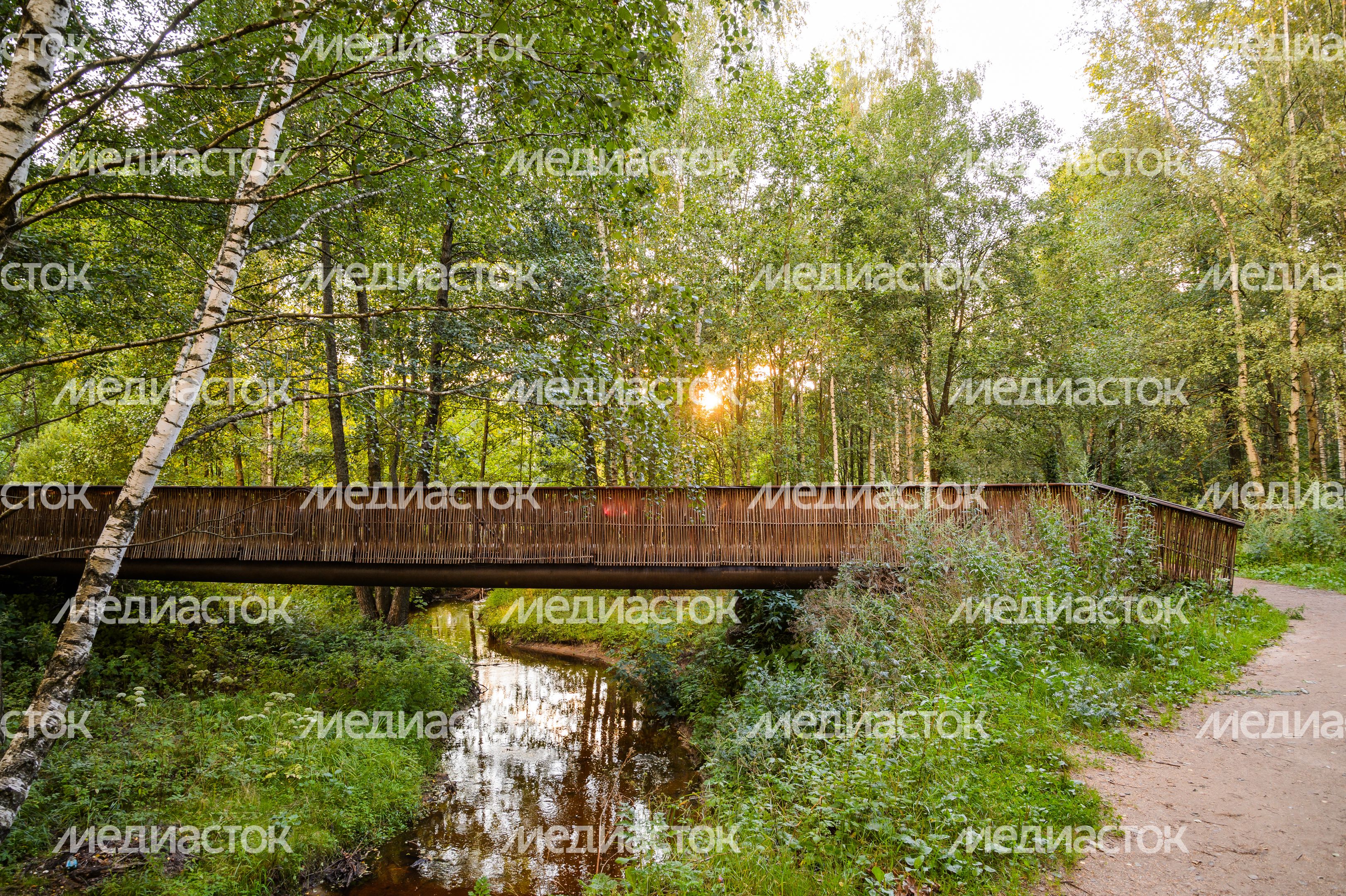 Горокруг Черноголовка. Летние виды реки Черноголовки