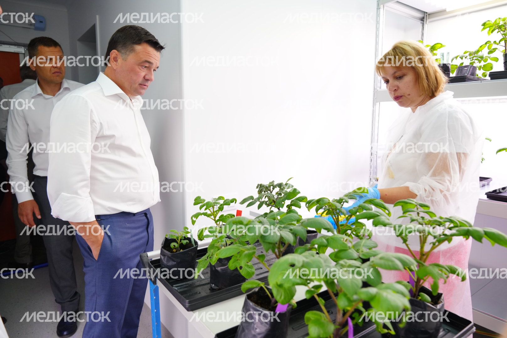 Посещение Губернатором Подмосковья селекционно-семеноводческого предприятия ООО «Дока-Генные Технологии» в Дмитровском городском округе