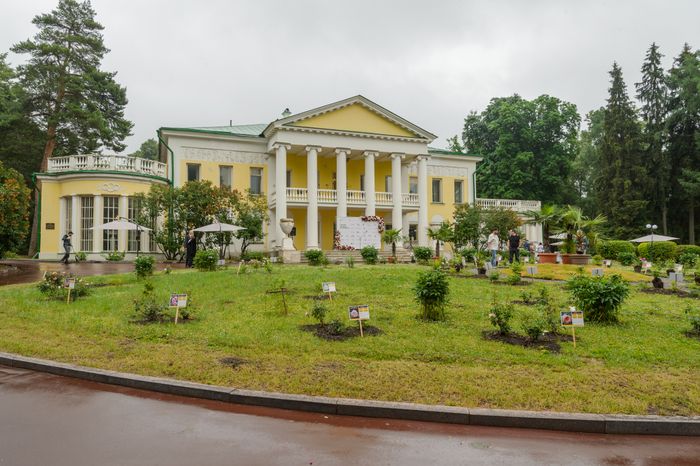 Пальмы и Розы Зинаиды Морозовой