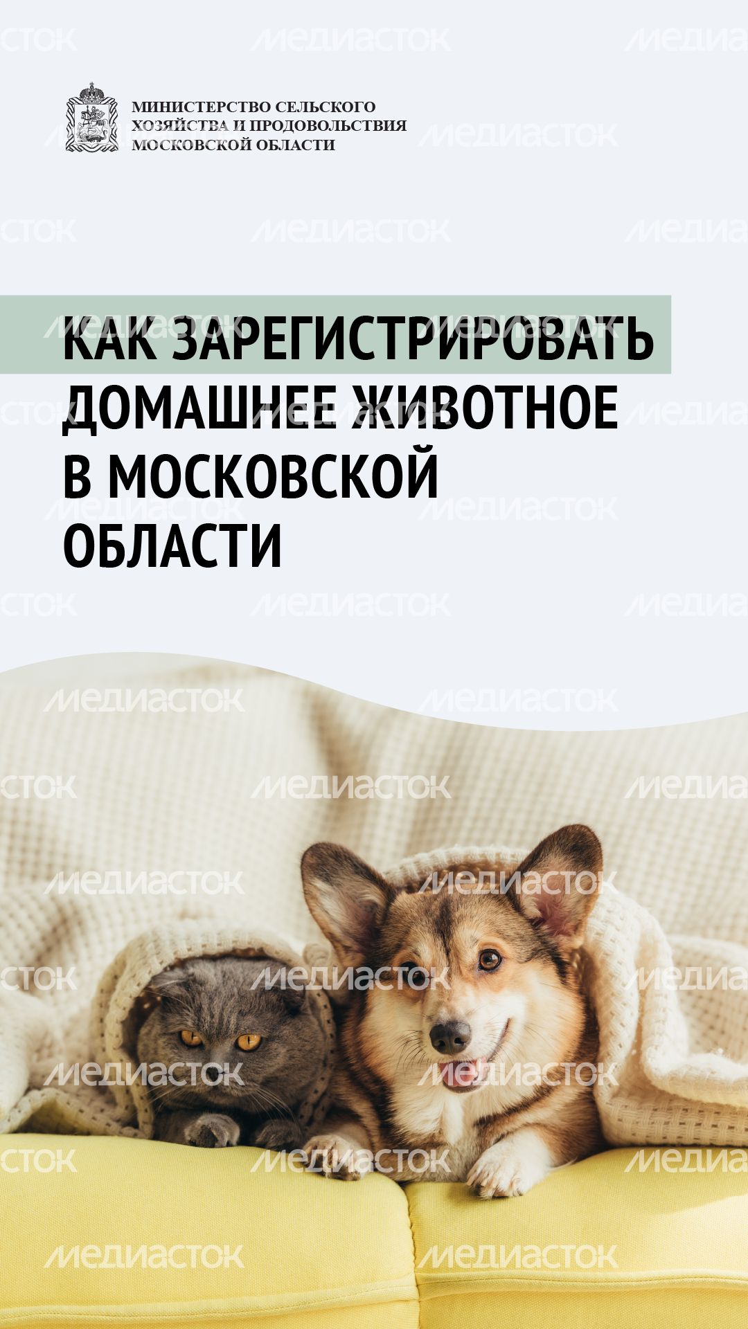 Зарегистрировать домашнее животное ред 2-вертикаль-01.png Зарегистрировать домашнее животное ред 2-вертикаль-01.png
