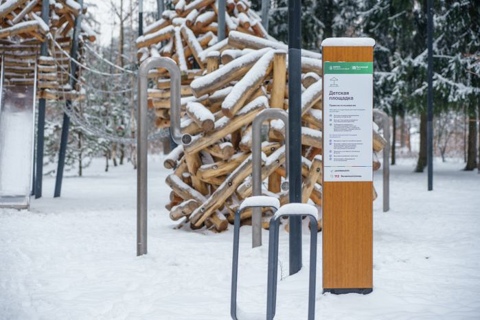 Балашиха. Пестовский парк. Зима