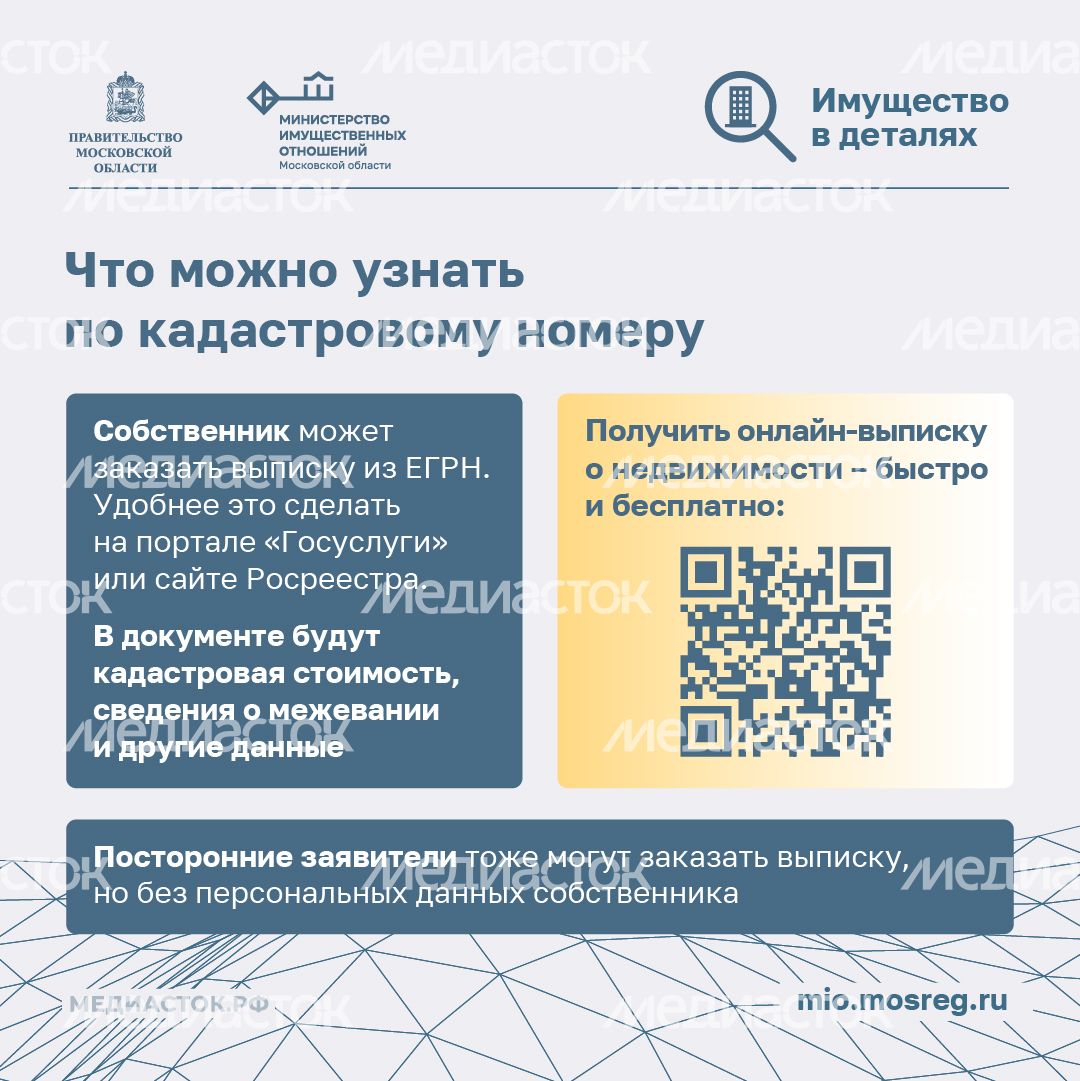 Что такое кадастровый номер участка квадрат 05 Что такое кадастровый номер участка квадрат 05