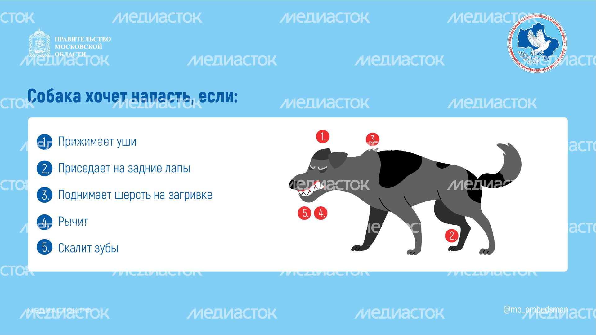 Осторожно злая собака горизонталь 05 Осторожно злая собака горизонталь 05