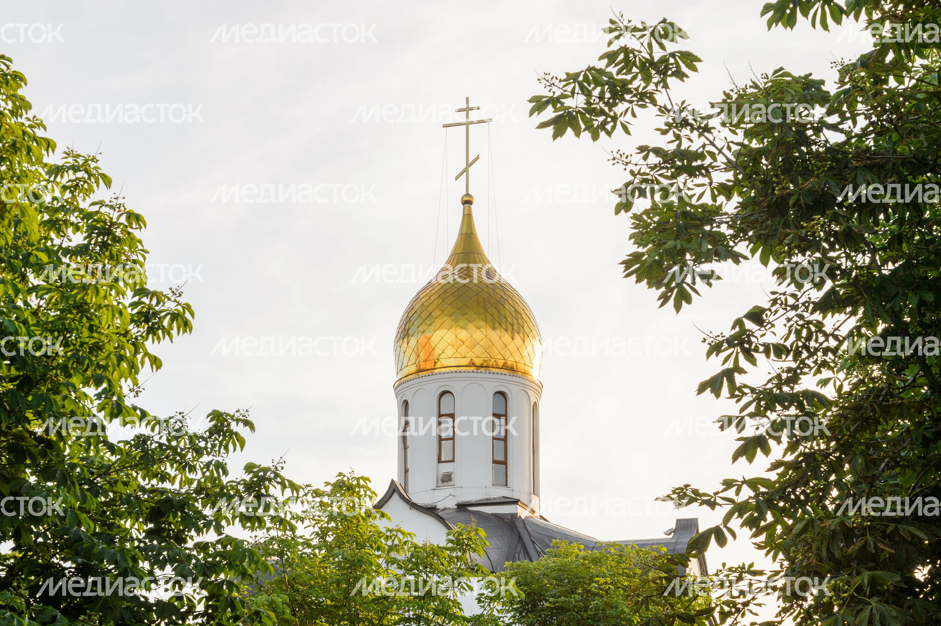 Александро-Невская церковь