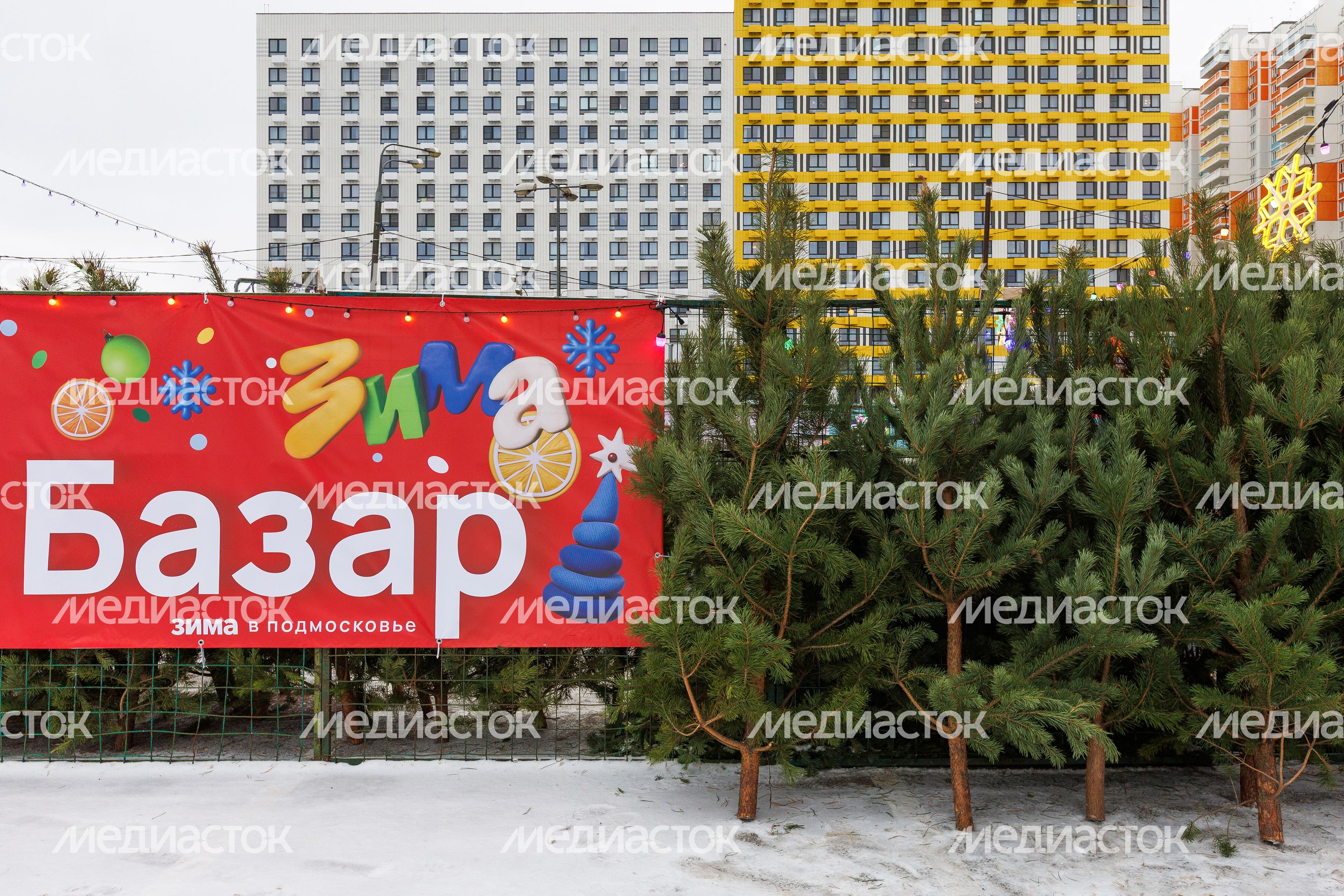 Елочный базар на улице Мира в Мытищах Елочный базар на улице Мира в Мытищах