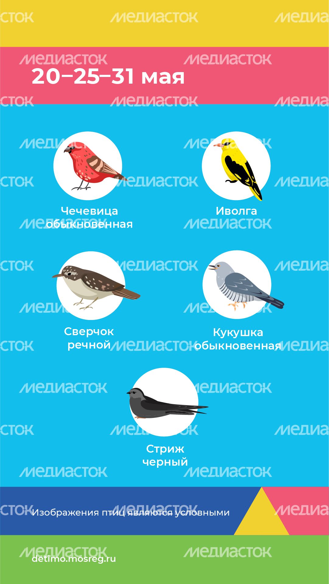 весна летит - вертикаль - 10