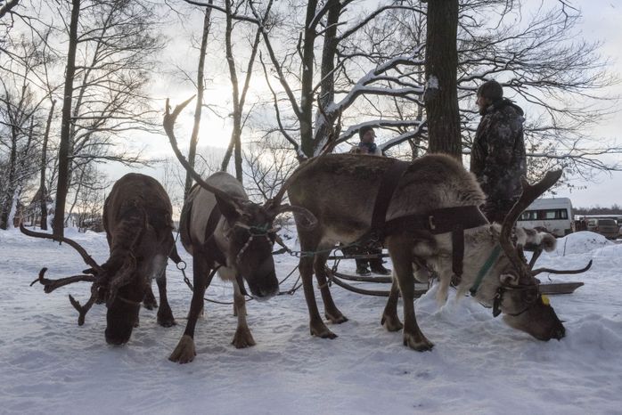 Оленья ферма в Дзержинском