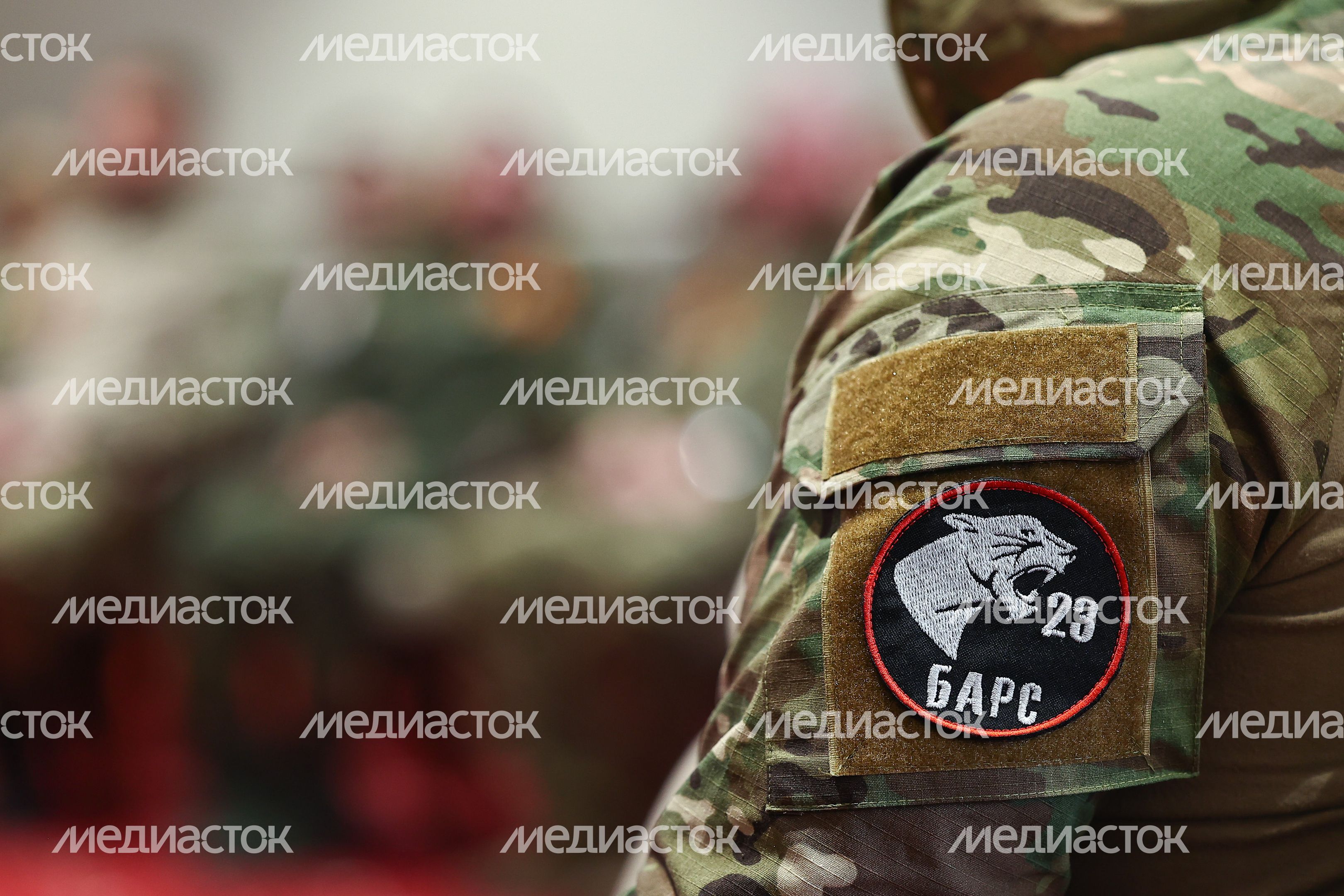 Губернатор вручил государственные награды добровольцам отряда БАРС