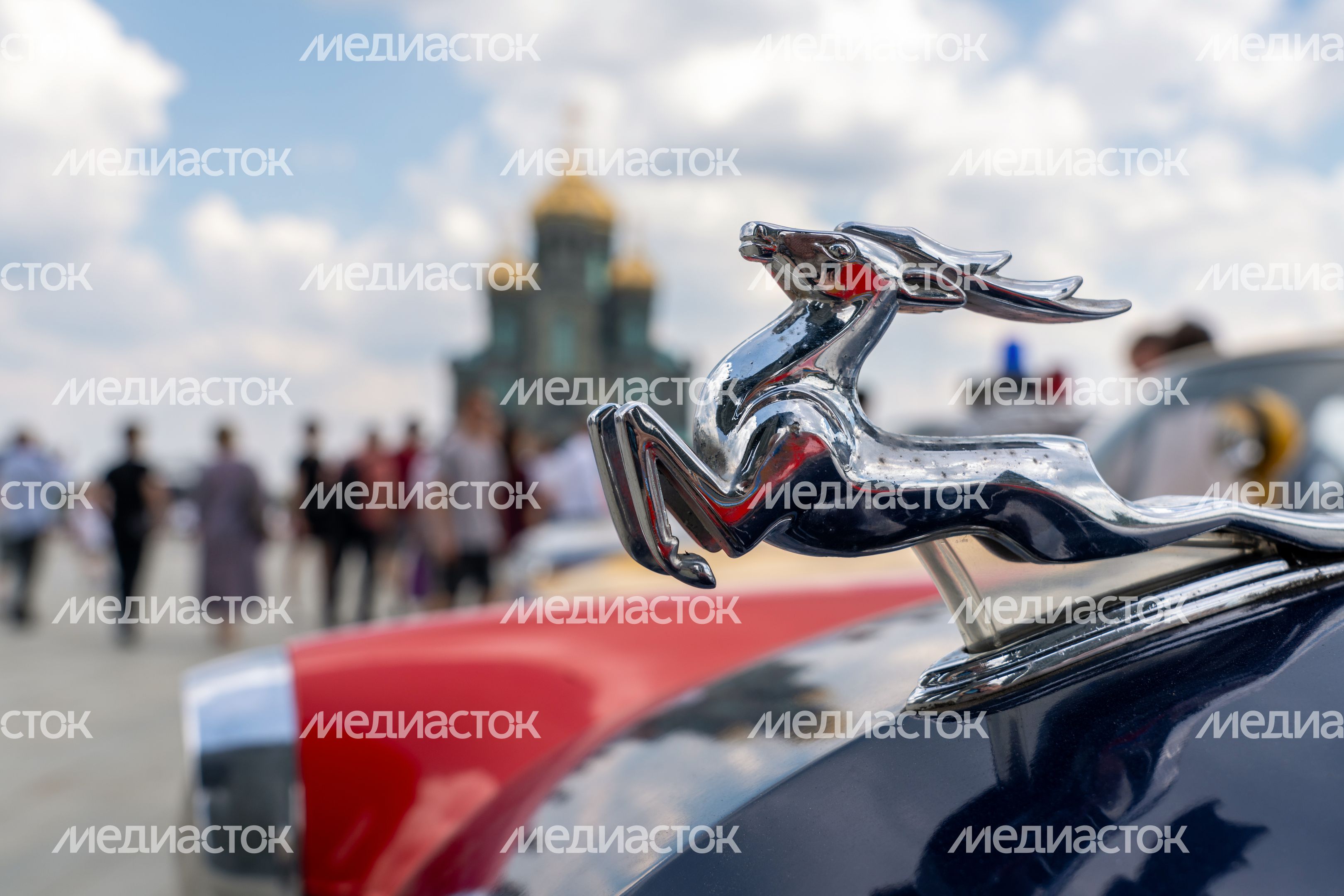 Проект «Проведи один день с полицией Подмосковья» в Центральном парке «Патриот» Одинцовского округа Проект «Проведи один день с полицией Подмосковья» в Центральном парке «Патриот» Одинцовского округа