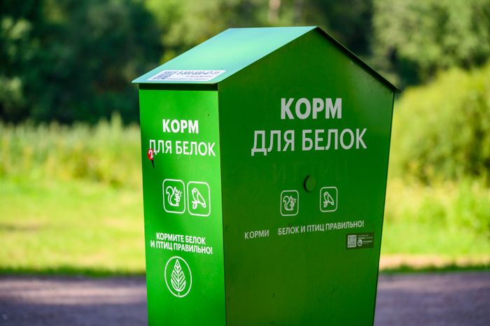 Автомат с кормом для белок в лесопарке «Загорское море» летом в Сергиевом Посаде