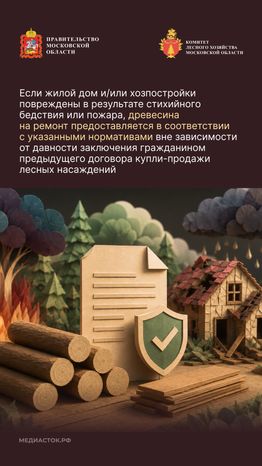 Как заготовить древесину вертикаль 04