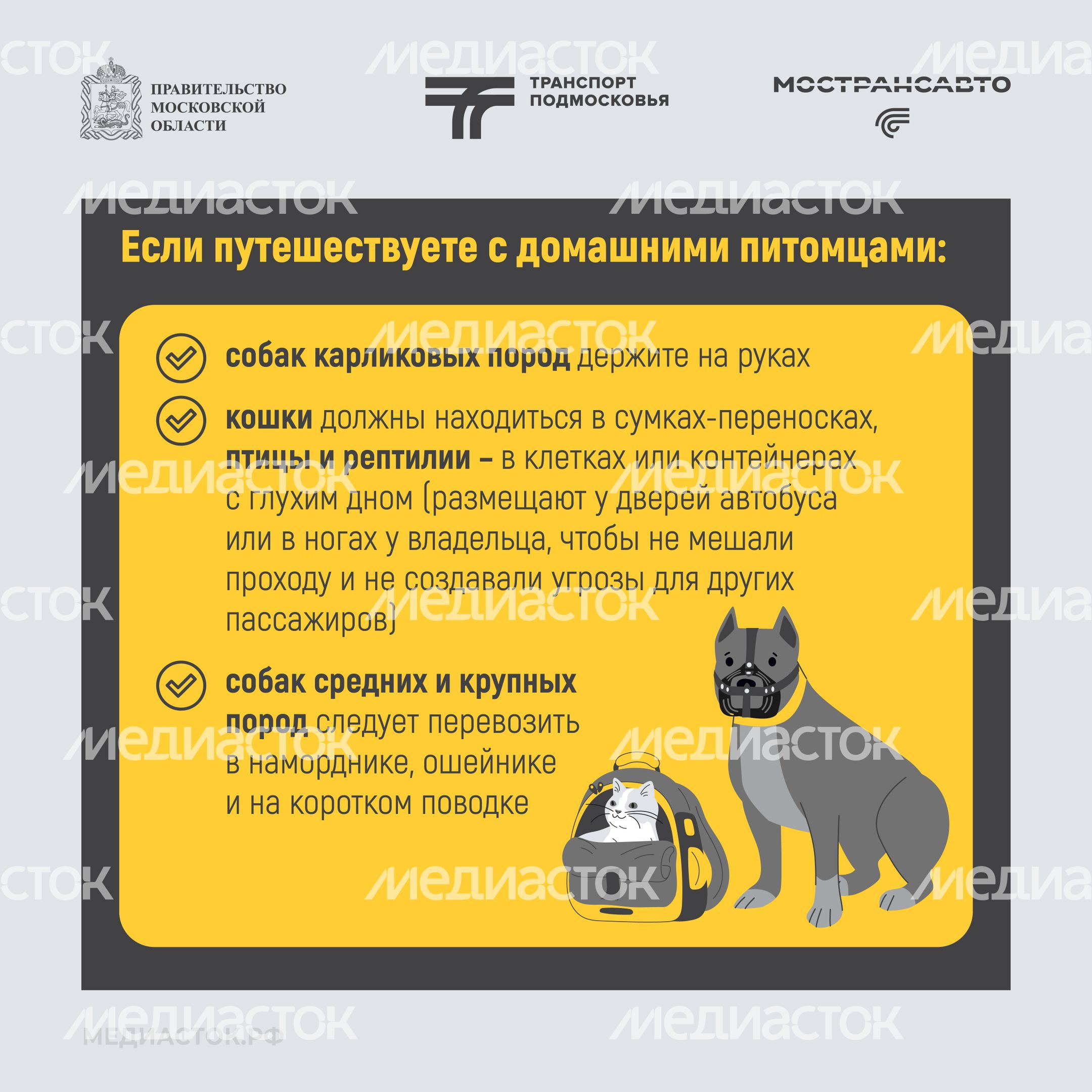 Путешествуем с Мострансавто скорость, комфорт, безопасность квадрат 07
