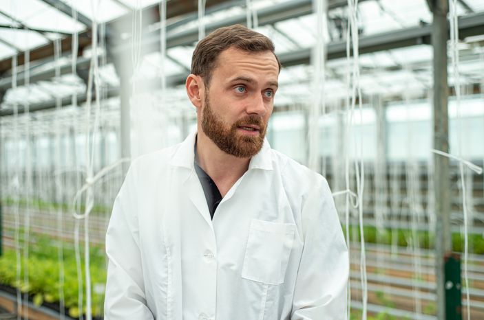 Теплицы крупного семеноводческого агропромышленного комплекса ООО «Агрофирма Партнер»