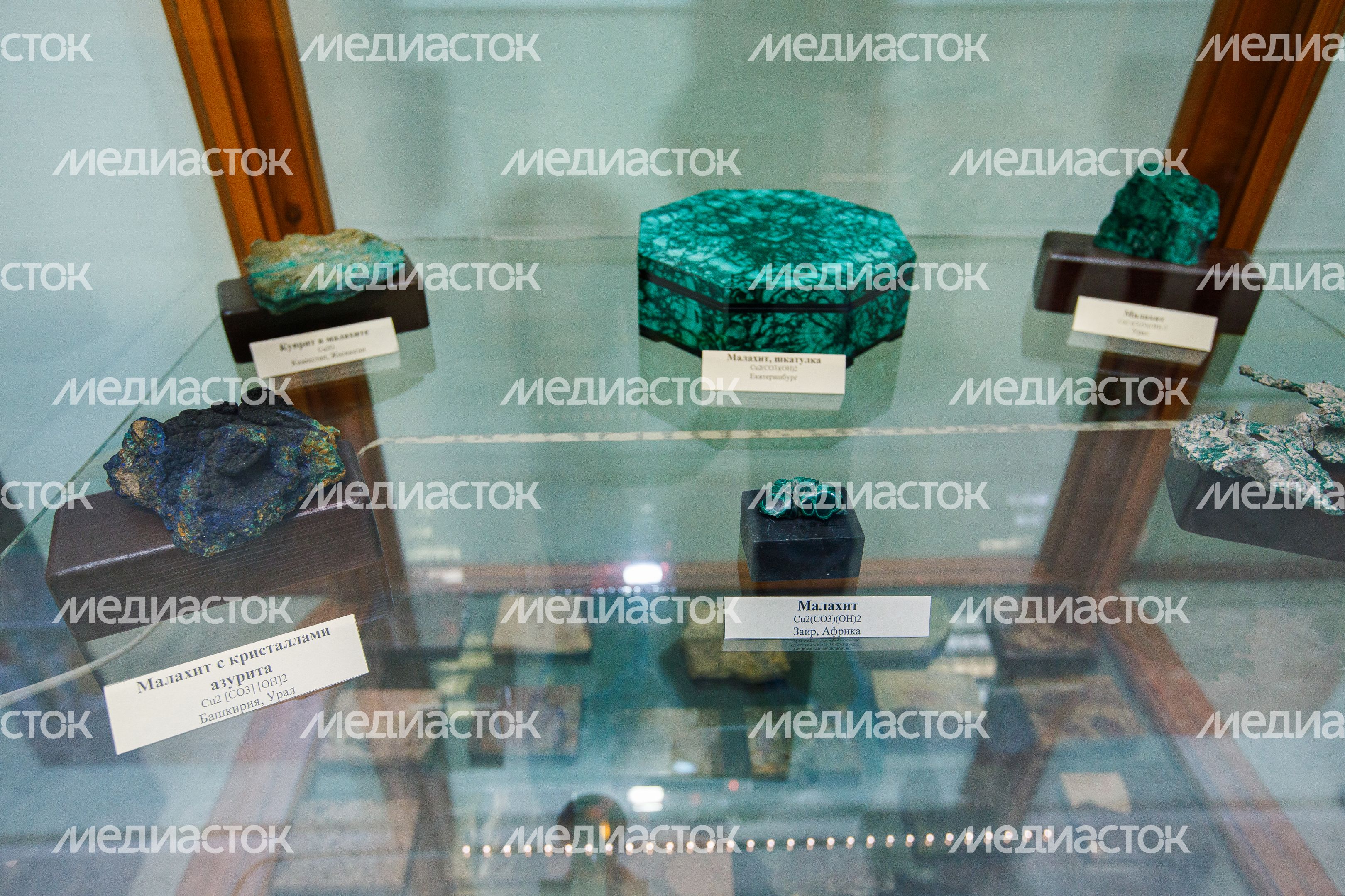 Дом Петра Алексеевича Кропоткина в Дмитрове Дом Петра Алексеевича Кропоткина в Дмитрове