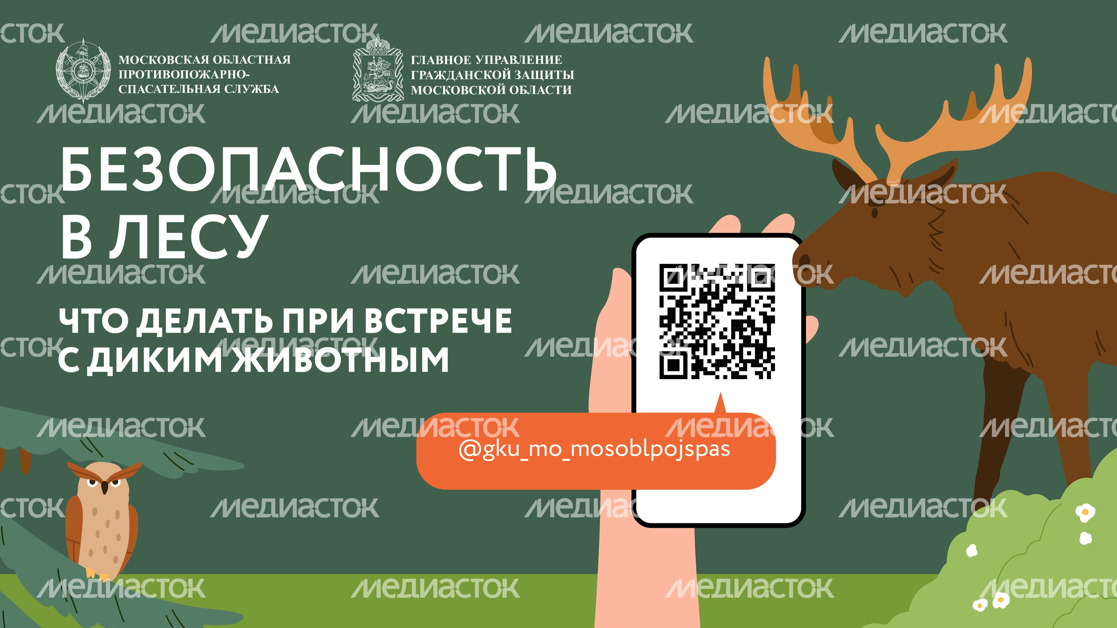 Горизонтали Безопасность в лесу 01.jpg
