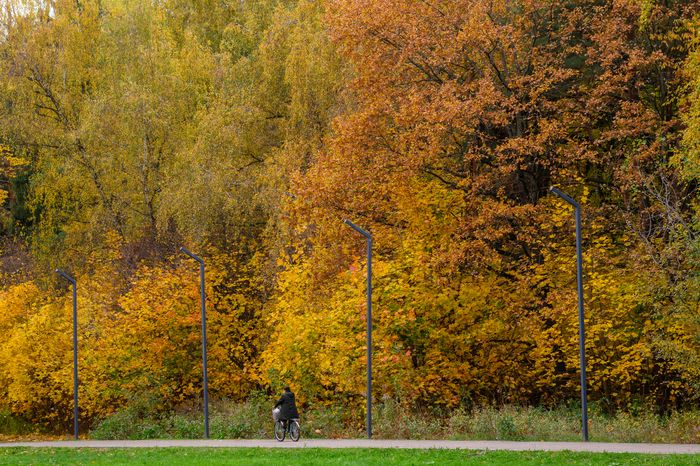 Парк «Апаринки» осенью в городе Видное Ленинского округа