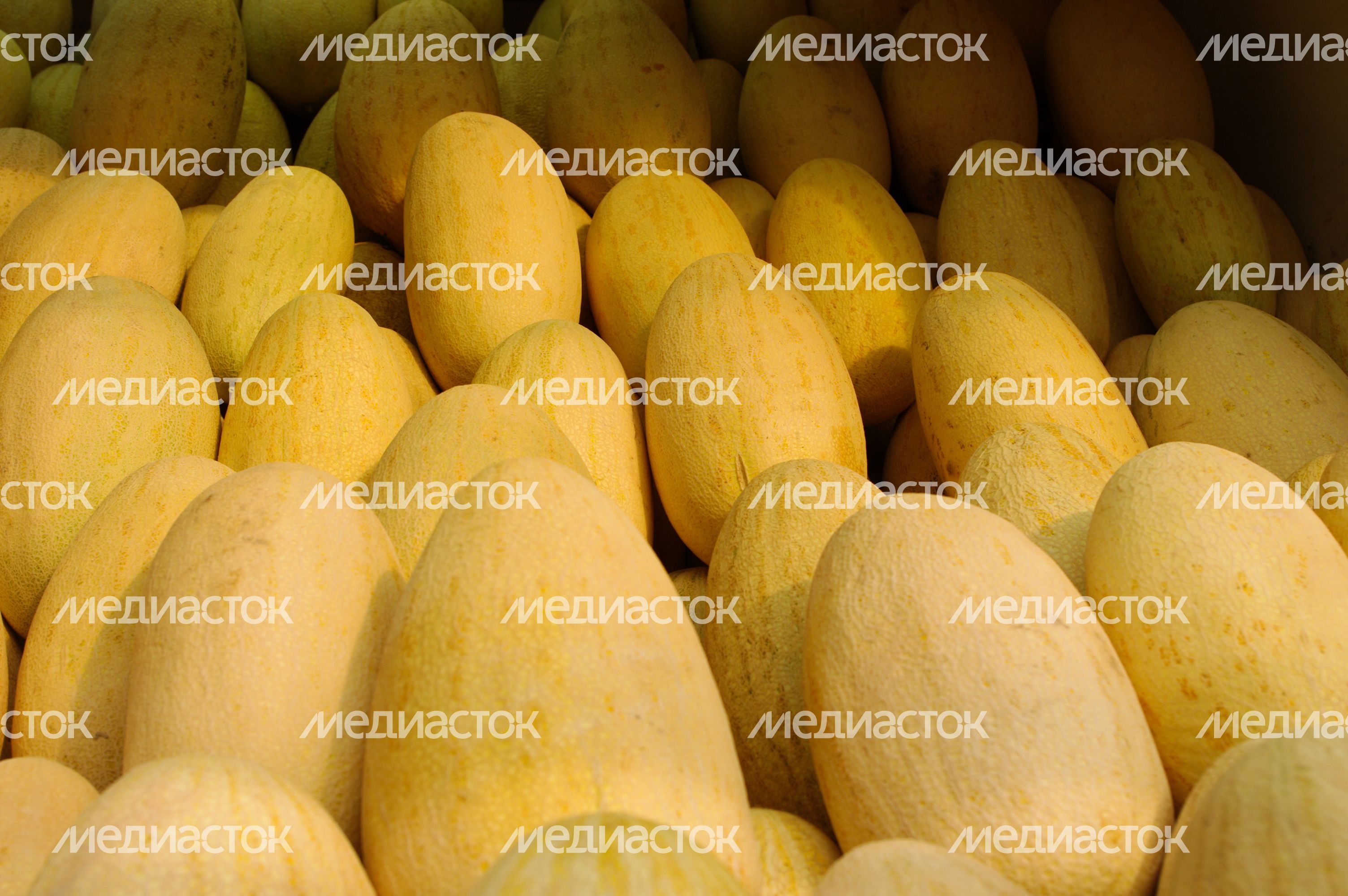 Дыни Дыни