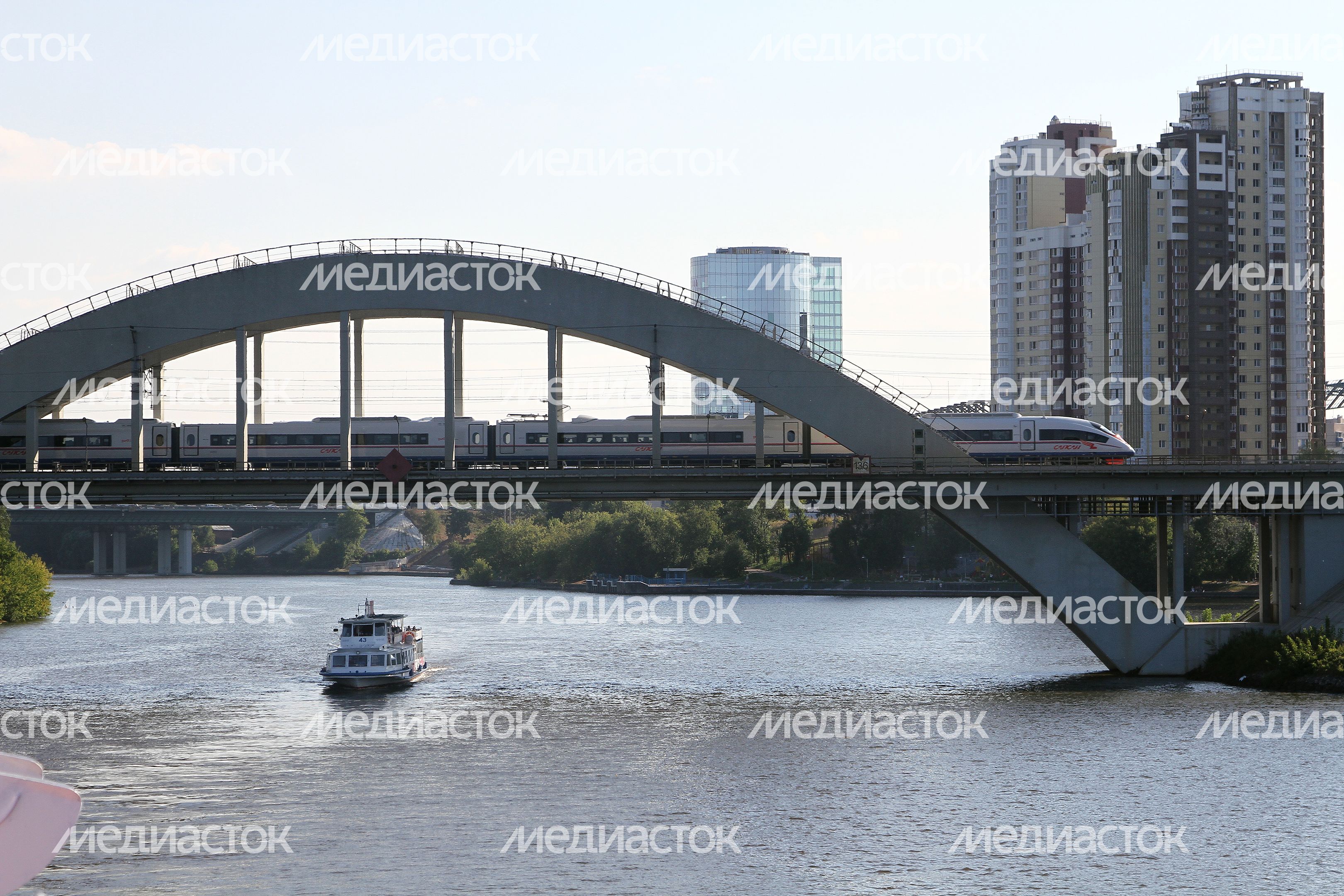 Сапсан на мосту