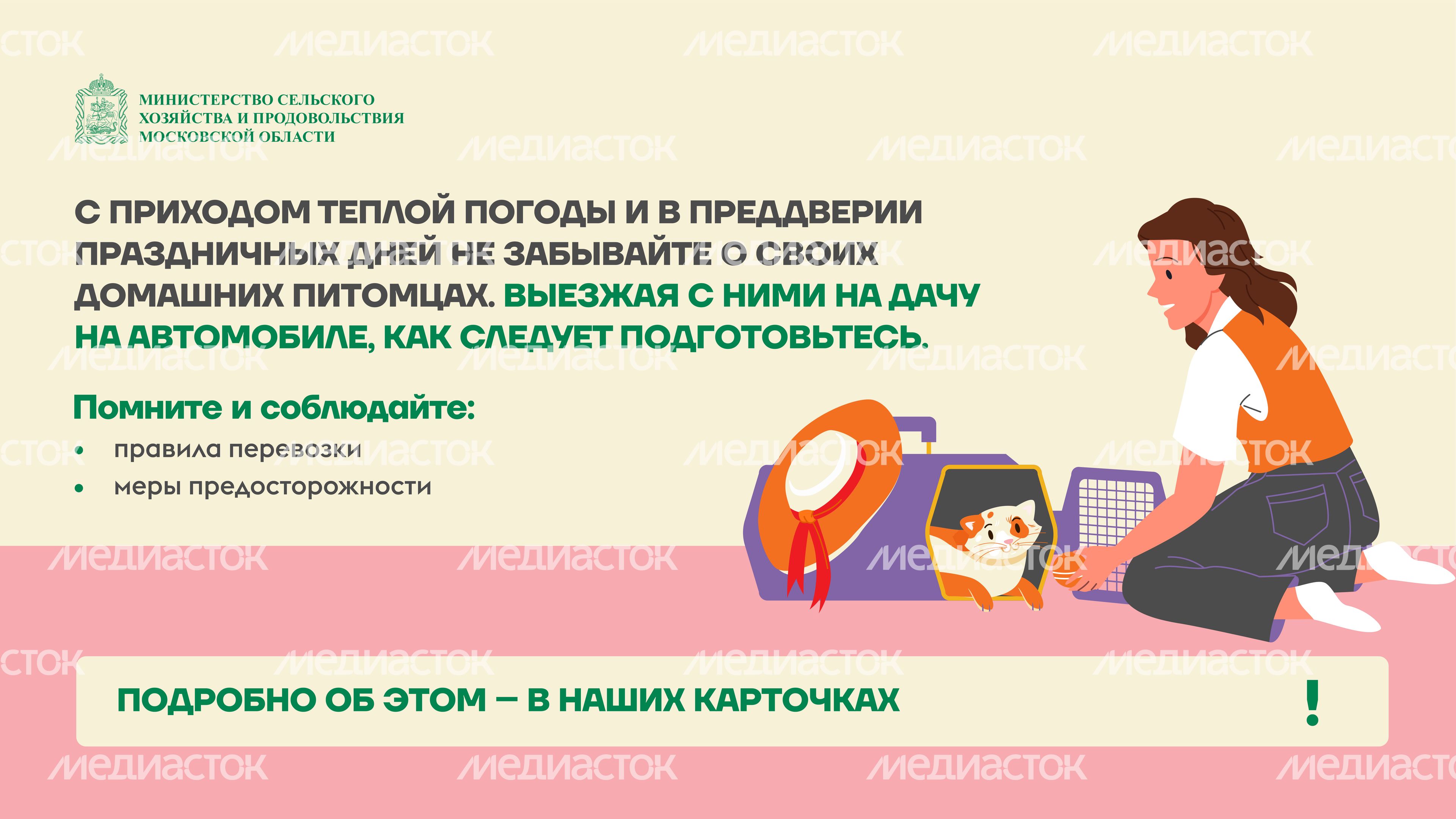 животные на даче горизонталь (2)