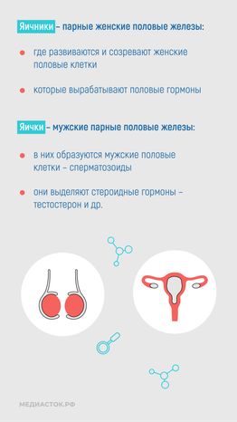 Эндокринные заболевания у наркозависимых вертикаль 07
