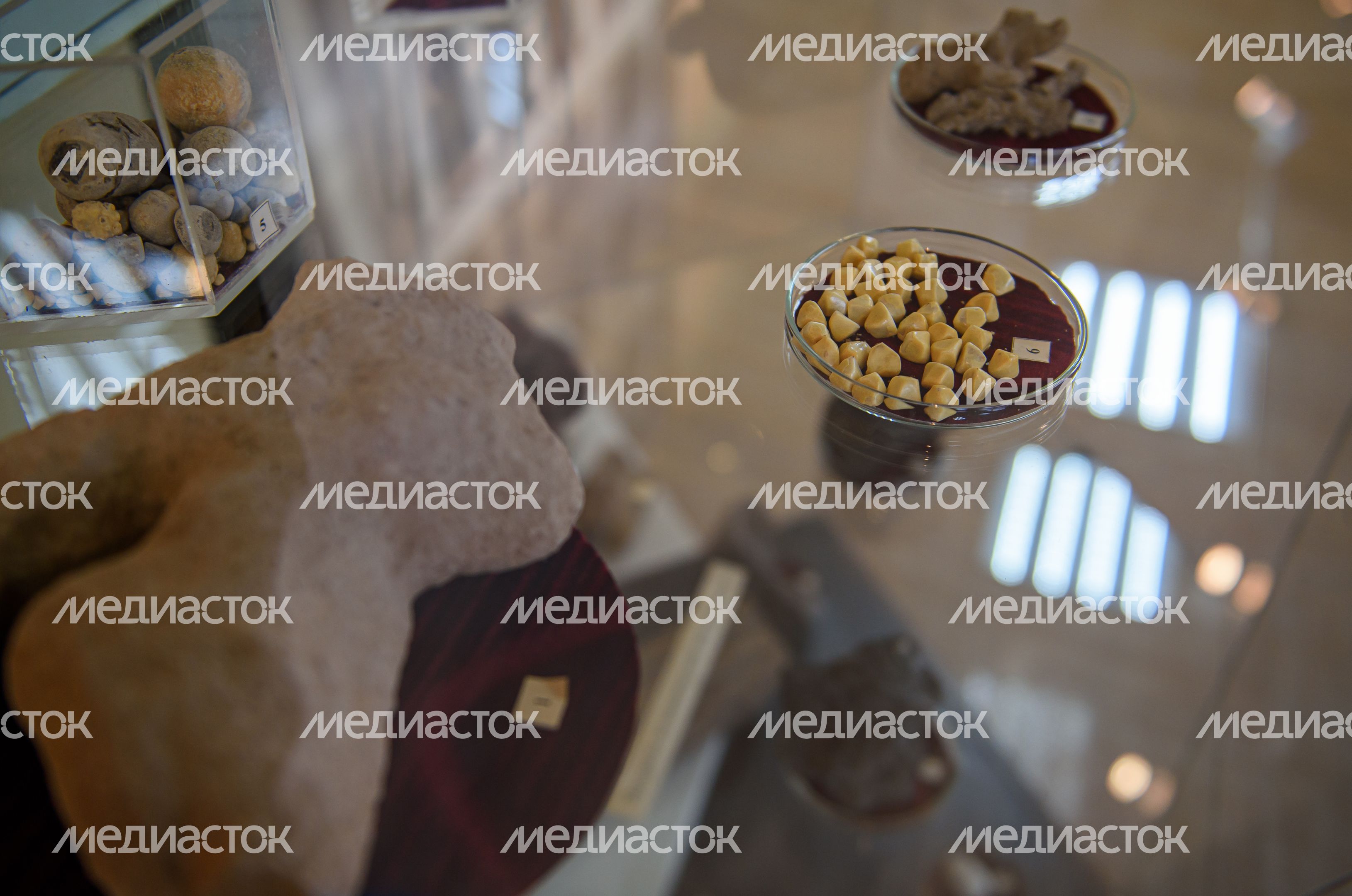Пущинский музей экологии и краеведения