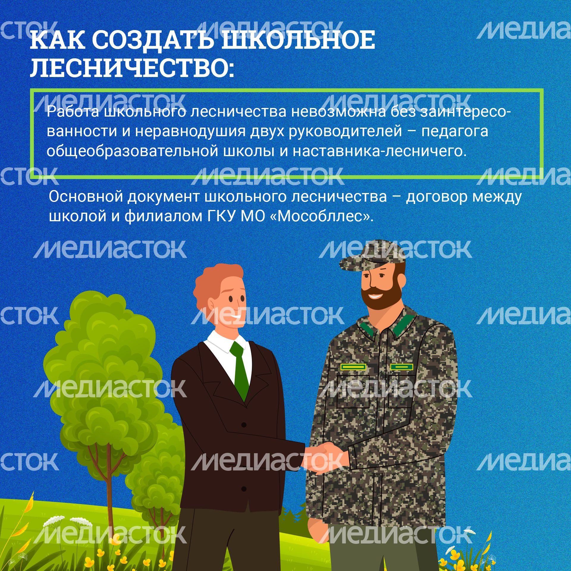 Школьные лесничества