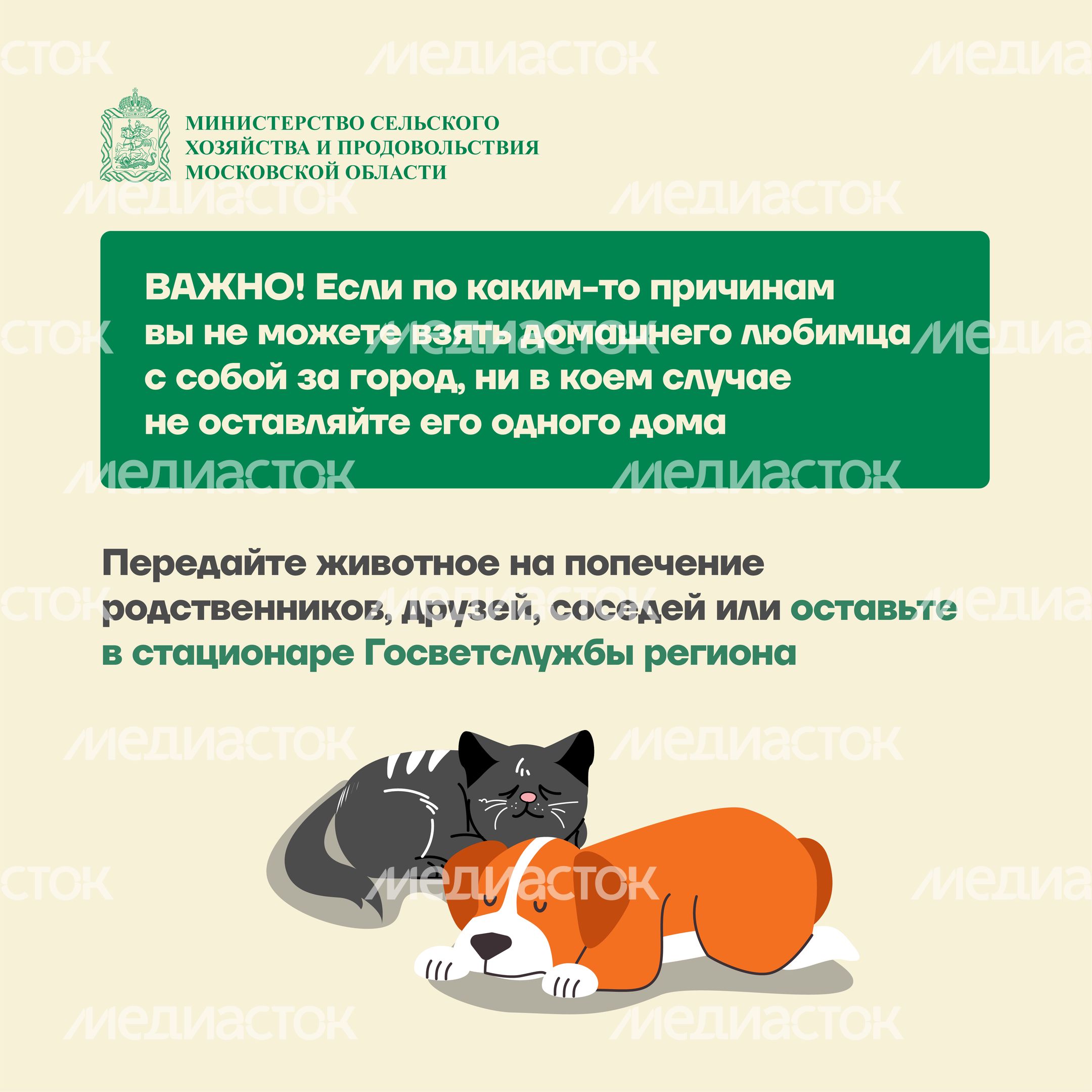 животные на даче квадрат (6)