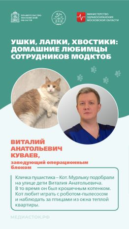 Ушки, лапки, хвостики вертикаль 01