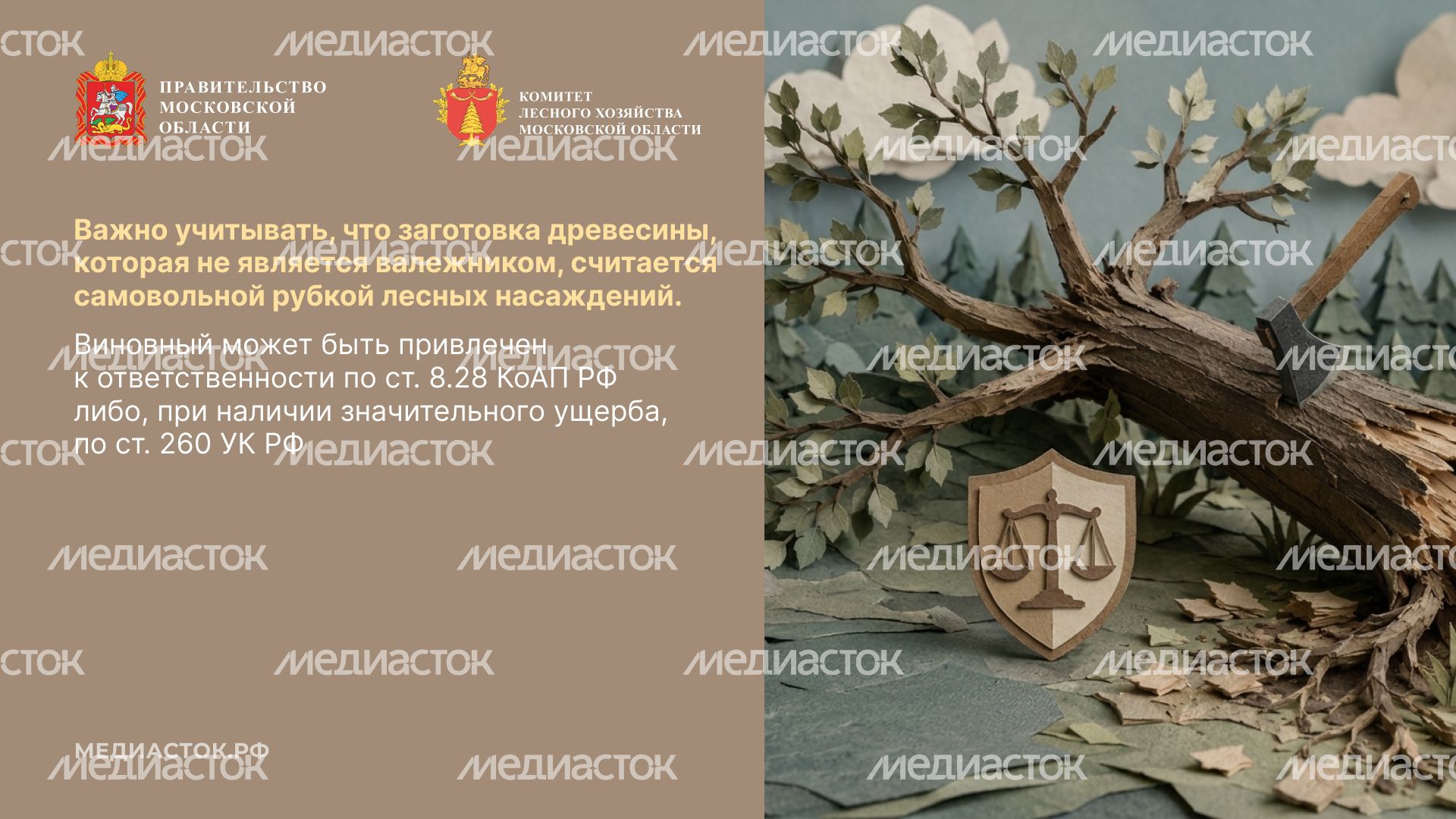 Недревесные ресурсы для собственных нужд Горизонталь 05