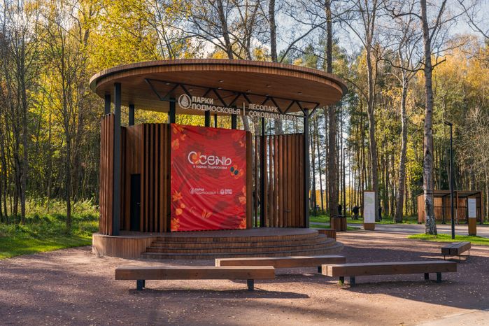 Лесопарк «Соколиная гора» осенью в Истре
