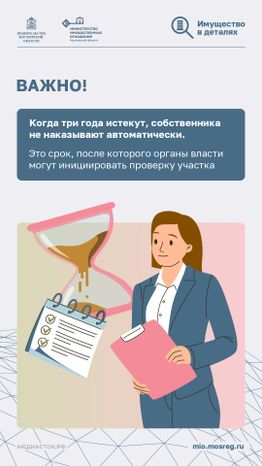 Освоение участка за 3 года вертикаль 07
