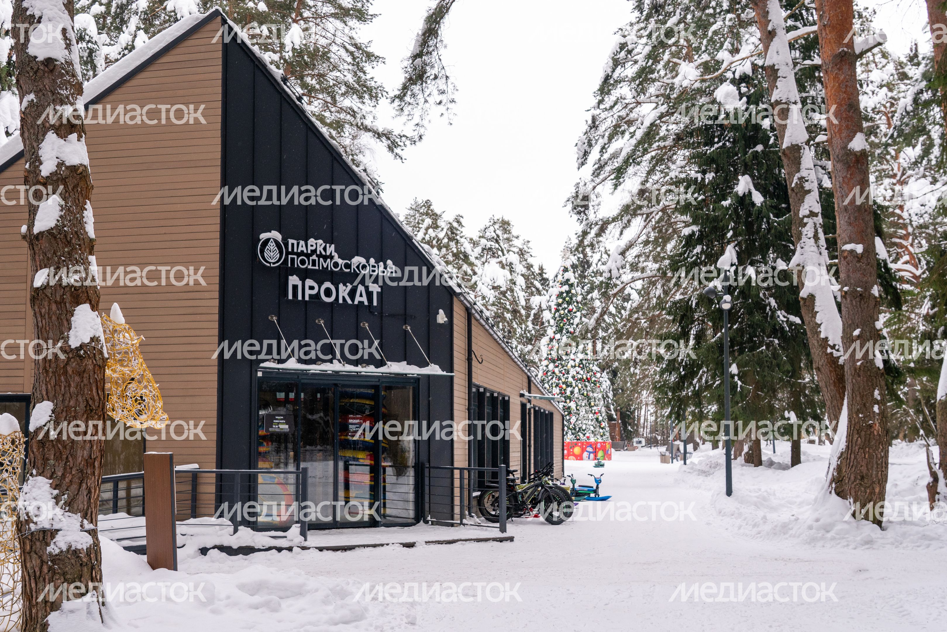 Парк "Шишкин лес" в Истре. Зима Парк "Шишкин лес" в Истре. Зима