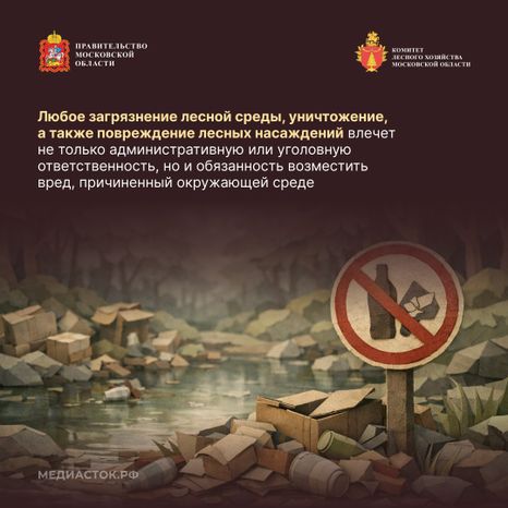 Санитарная безопасность в лесах квадрат 06