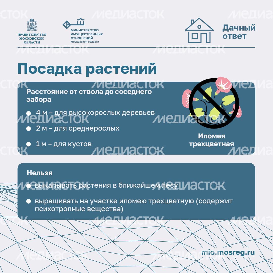 Дачный сезон штрафы-квадрат-06